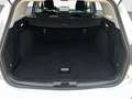 Ford Focus 1,0 EcoBoost Mild-Hybrid Active Turnier Weiß - thumbnail 26