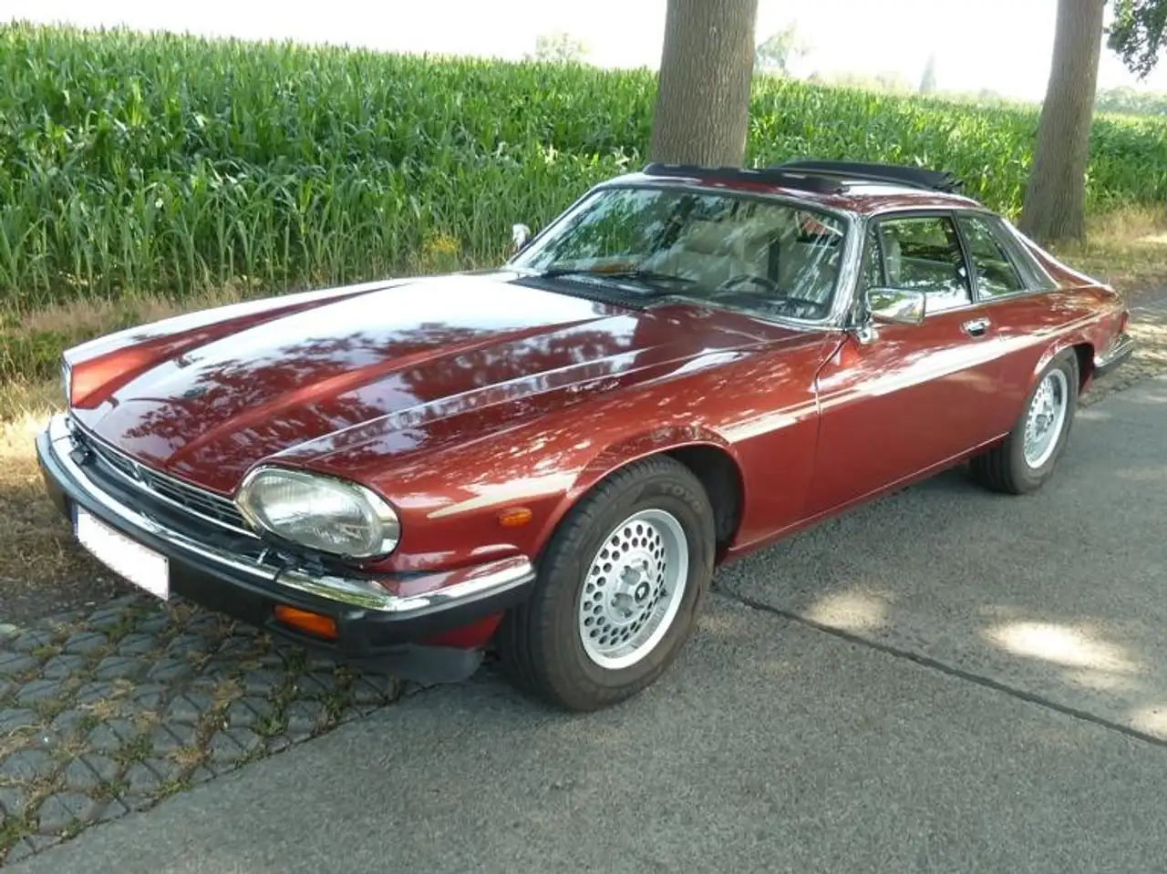 Jaguar XJS 3.6, foto 4