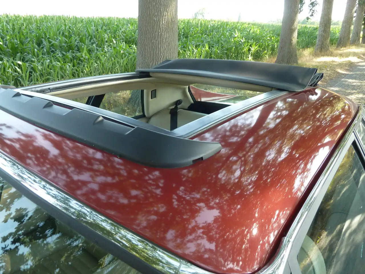 Jaguar XJS 3.6, foto 7