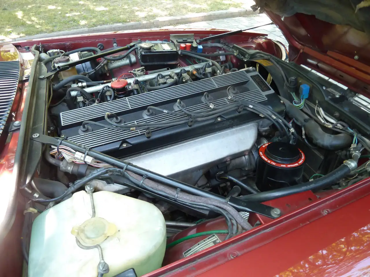 Jaguar XJS 3.6, foto 11
