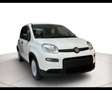 Fiat Panda 1.0 Hybrid 70cv Bianco - thumbnail 9