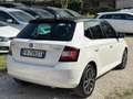 Skoda Fabia Fabia 1.0 MPI 75 CV Twin Color Design Edition Nero Bianco - thumbnail 5