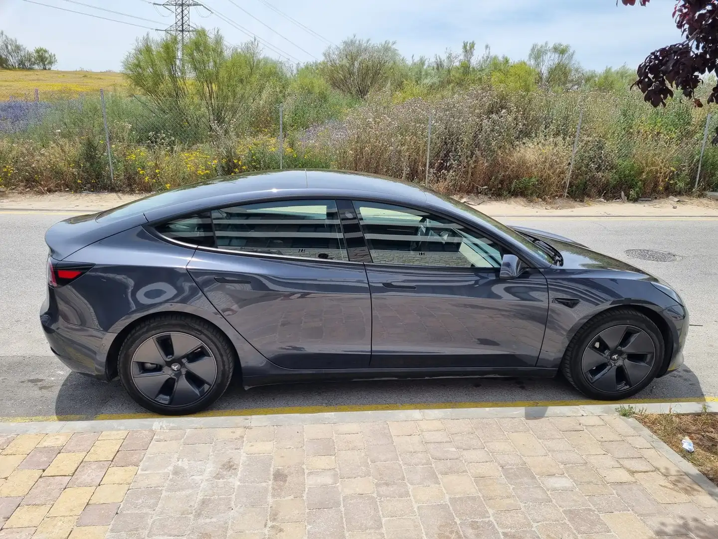 Tesla Model 3 Model 3 Long-Range Dual Motor AWD Dual Motor Gris - 1