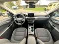 Ford Kuga Titanium/Allrad AWD Blau - thumbnail 14