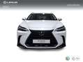 Lexus NX 450h+ Premium+ 4WD Blanco - thumbnail 5