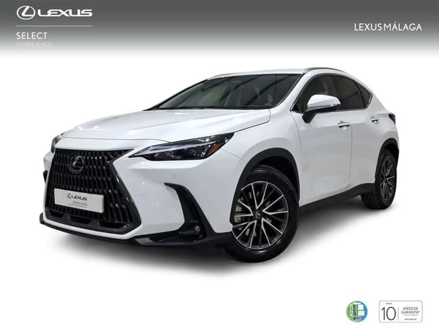 Lexus NX 450h+ Premium+ 4WD Blanco - 1