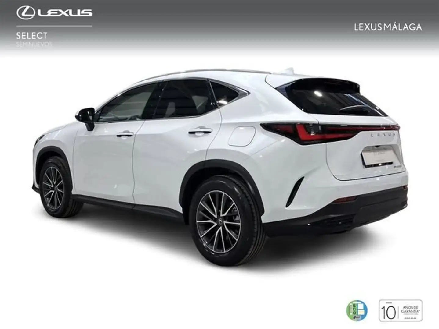 Lexus NX 450h+ Premium+ 4WD Blanco - 2