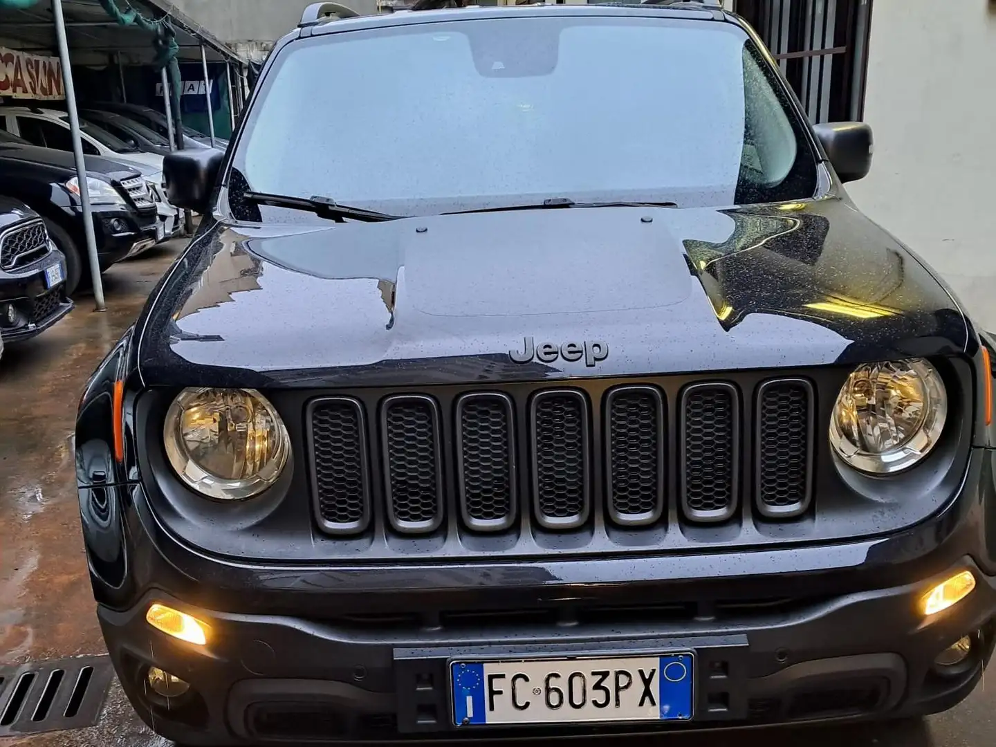Jeep Renegade Renegade 2.0 mjt Trailhawk 4wd 170cv auto - 1