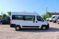 Citroen Jumper BLUEHDI 120 L2 H2 DIESEL 2L2 BOITE 6 CLIMAT ABS RÉ - thumbnail 5