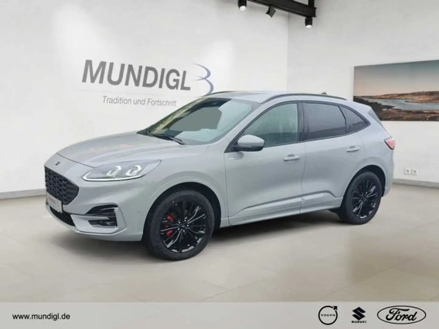Ford Kuga ST-Line X FHEV NAVI ACC Autom  RFK AHK SHZ FSH LRH Grau - 1