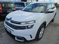 Citroen C5 Aircross C5 Aircross 1.5 bluehdi Business s Blanc - thumbnail 1