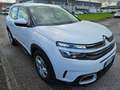 Citroen C5 Aircross C5 Aircross 1.5 bluehdi Business s Blanc - thumbnail 3