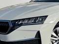 Skoda Octavia Combi 1.5TSI mHEV DSG Selection LED+ACC+++ Weiß - thumbnail 7