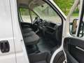 Opel Movano 2.2D 140pk L3H2 Cruise Control Navigatie heavy dut Wit - thumbnail 20