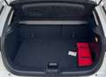 Mazda CX-3 1.5d Exceed 2wd 105cv Blanc - thumbnail 14