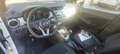 Nissan Micra Micra 1.0 IG 12V 5 porte Visia Bianco - thumbnail 11