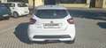 Nissan Micra Micra 1.0 IG 12V 5 porte Visia Bianco - thumbnail 6