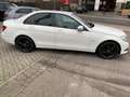 Mercedes-Benz C 200 C 200 CDI DPF (BlueEFFICIENCY) 7G-TRONIC Blanc - thumbnail 6