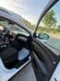 Hyundai TUCSON Tucson 1.6 crdi Xline 2wd Bianco - thumbnail 14