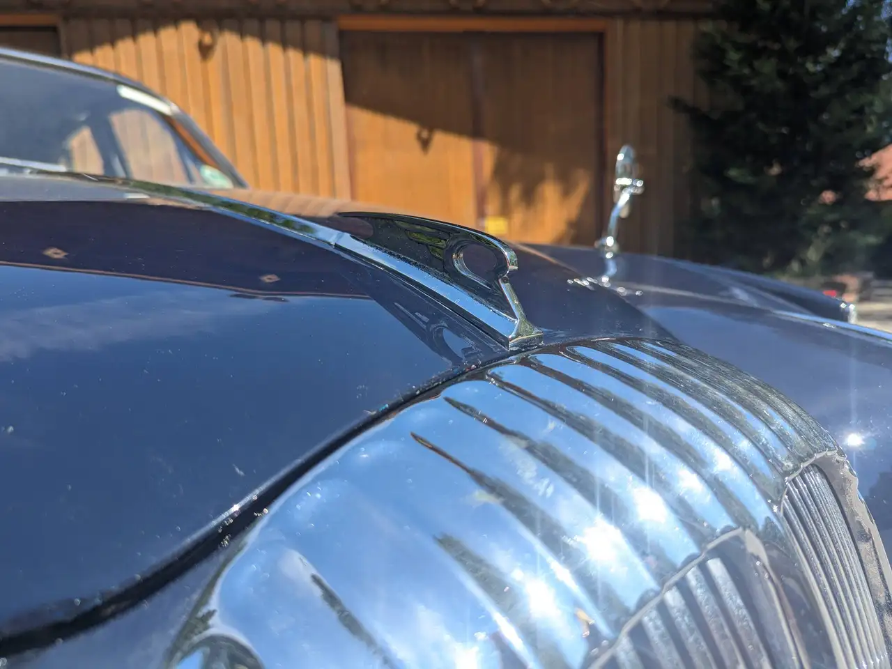 Jaguar Daimler 250 V8, foto 5