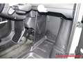 Fiat MY25 7kWh 8,2 PS / Fahrbar ab 15 Jahre! Verde - thumbnail 10