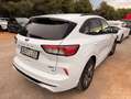 Ford Kuga 2.5 Duratec FHEV ST-Line AWD Aut. Blanco - thumbnail 5