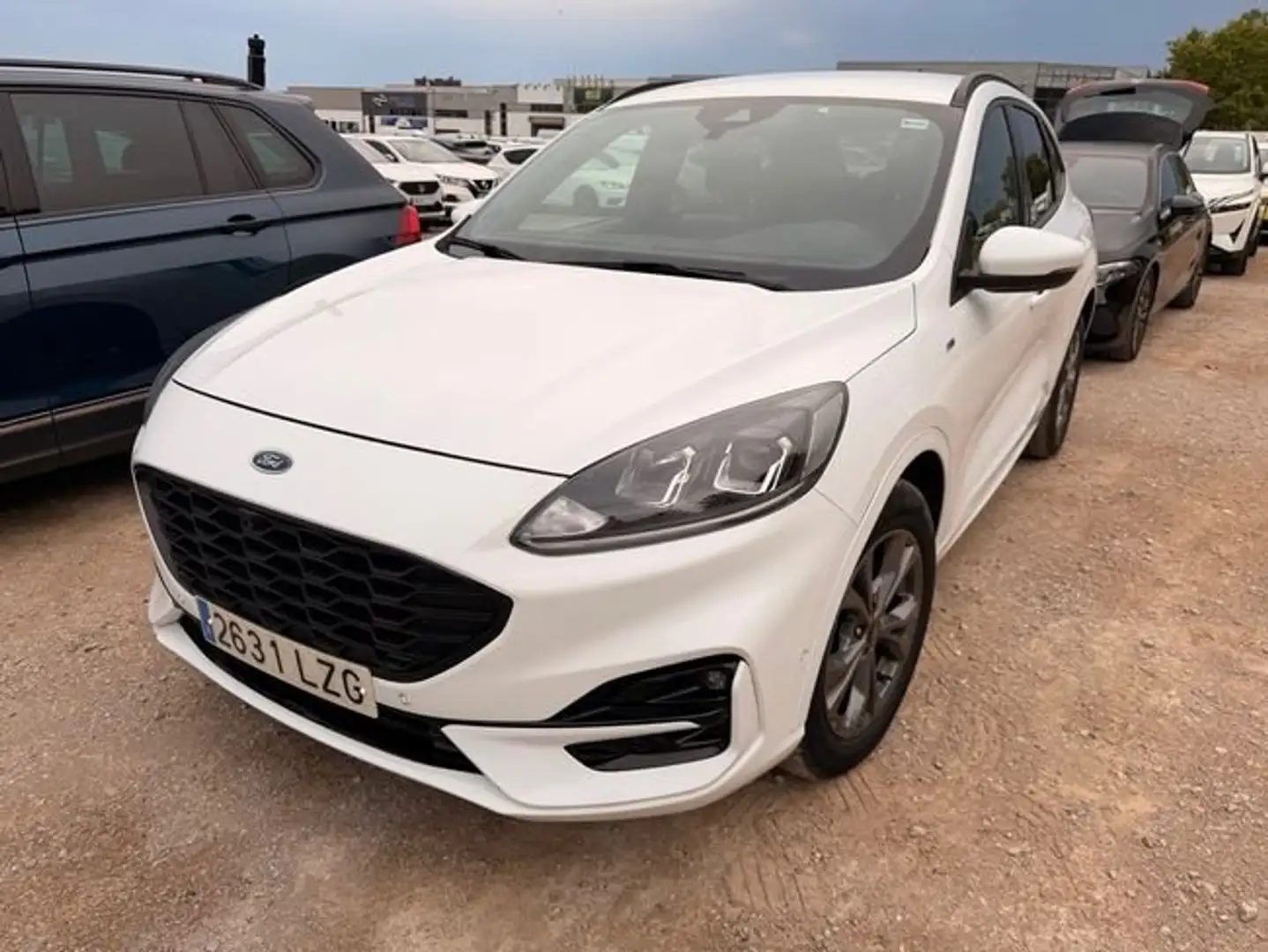 Ford Kuga 2.5 Duratec FHEV ST-Line AWD Aut. Blanco - 2