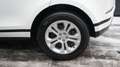 Land Rover Range Rover Evoque EVOQUE P300e AWD PLUG-IN*PANO*ACC* Weiß - thumbnail 36