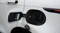 Land Rover Range Rover Evoque EVOQUE P300e AWD PLUG-IN*PANO*ACC* Weiß - thumbnail 20