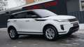 Land Rover Range Rover Evoque EVOQUE P300e AWD PLUG-IN*PANO*ACC* Weiß - thumbnail 10