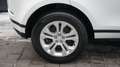 Land Rover Range Rover Evoque EVOQUE P300e AWD PLUG-IN*PANO*ACC* Weiß - thumbnail 35