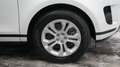 Land Rover Range Rover Evoque EVOQUE P300e AWD PLUG-IN*PANO*ACC* Weiß - thumbnail 19
