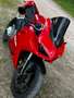 Ducati Panigale V2 Rot - thumbnail 5