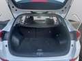 Hyundai TUCSON 1.7 CRDi COMFORT DIURNILEED-E6B-1PROPRIETARIO- Wit - thumbnail 14