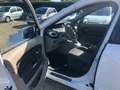 Renault Scenic Scenic 1.5 dci  110cv Blanc - thumbnail 11