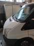 Ford Transit Wit - thumbnail 4