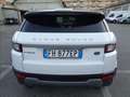 Land Rover Range Rover Evoque EVOQUE 2.0 TD4 PURE SE CAMBIO MANUALE Blanc - thumbnail 22