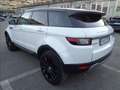 Land Rover Range Rover Evoque EVOQUE 2.0 TD4 PURE SE CAMBIO MANUALE Blanc - thumbnail 18
