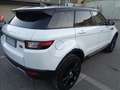 Land Rover Range Rover Evoque EVOQUE 2.0 TD4 PURE SE CAMBIO MANUALE Blanc - thumbnail 19