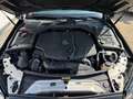 Mercedes-Benz C 250 BlueTEC 4MATIC Aut. Schwarz - thumbnail 14