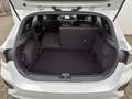 Kia Ceed / cee'd Ceed 5-Türer 1.5 T-GDI (140 PS) ISG DCT7 GT-Line T Weiß - thumbnail 16