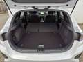 Kia Ceed / cee'd Ceed 5-Türer 1.5 T-GDI (140 PS) ISG DCT7 GT-Line T Weiß - thumbnail 14