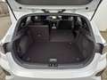 Kia Ceed / cee'd Ceed 5-Türer 1.5 T-GDI (140 PS) ISG DCT7 GT-Line T Weiß - thumbnail 13