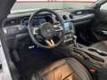 Ford Mustang GT 5.0 ABBES Schropp Supercharger SF700 Bílá - thumbnail 9