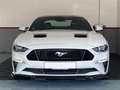 Ford Mustang GT 5.0 ABBES Schropp Supercharger SF700 White - thumbnail 2