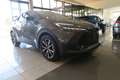 Toyota C-HR C-HR 2.0 phev Trend fwd e-cvt Grau - thumbnail 1