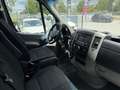 Mercedes-Benz Sprinter 314 CDI mit Carrier Kühlaggregat Grün - thumbnail 15
