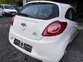 Ford Ka/Ka+ Ka Ka 1.2 Concept Weiß - thumbnail 4