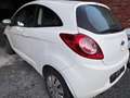 Ford Ka/Ka+ Ka Ka 1.2 Concept Weiß - thumbnail 5