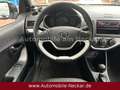 Kia Picanto 1.0 Vision-Klima-PDC-8fach bereift-HU NEU Blau - thumbnail 13